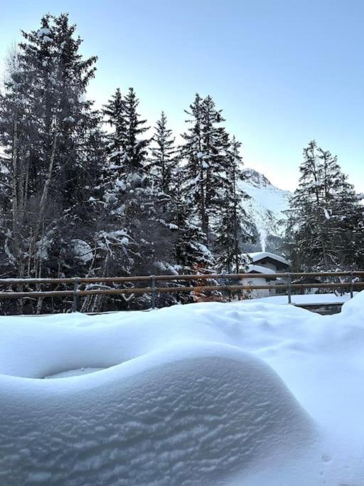 Wonderful Cosy In Apartamento St Moritz
